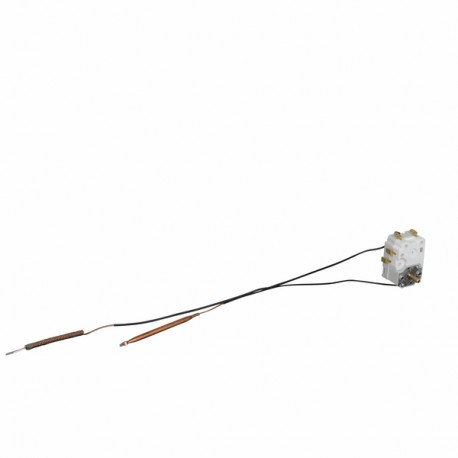 Water heater thermostat BBSC 2 bulbs 90° - COTHERM : BBSC015207