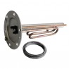Platinum for immersion heater 2200W monophase - DIFF for Atlantic : 099005