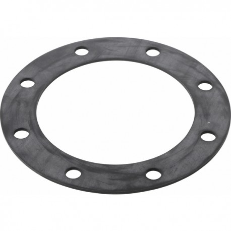 Seal EPDM rubber 170x117x3 d11 - DE DIETRICH CHAPPEE : 95013138