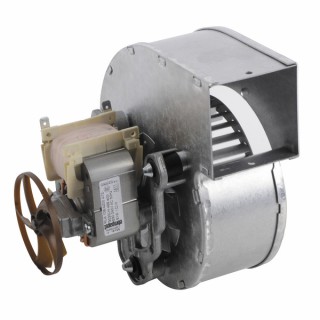 Fan 1v 61W 230V - DE DIETRICH CHAPPEE : JJD005632530