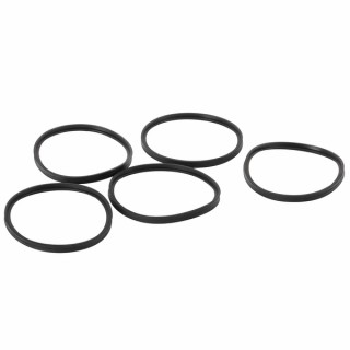 Ring 100mm sealing (X 5) - DE DIETRICH CHAPPEE : S101643