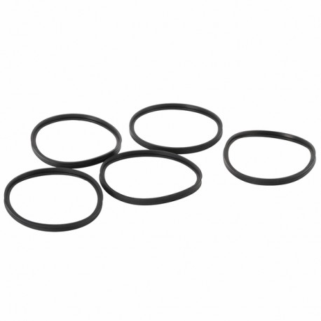 Ring 100mm sealing (X 5) - DE DIETRICH : S101643