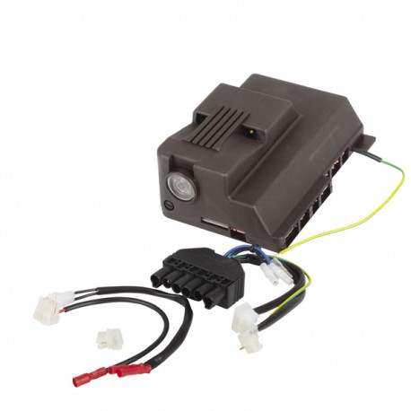 Control box - RIELLO : 20137660
