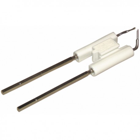 Electrode unit - RIELLO : 3005766