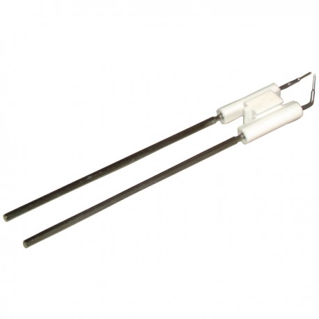 Electrode unit15M/20M - RIELLO : 3006076