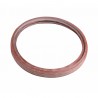 Aludomus gasket - RIELLO : 4052005