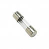 Fuse 2A (X 20) - DIFF for Chaffoteaux : 950030