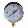 Water & air pressure gauge 0/6 bar ø100mm