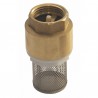 Foot valve with inlet filter, all positions 2? - DIFF