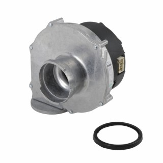 Fan  - ELM LEBLANC : 87172043730