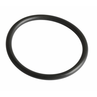 Gasket r36 viton (sensor v97) - FRISQUET : 240134