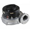 Fan  rg128/1300-3612 - DE DIETRICH CHAPPEE : S58209911