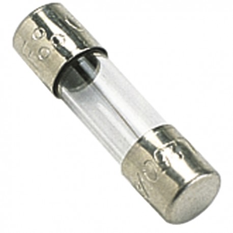 Fuse and fuse carrier glass fuse de dietrich - DIFF
