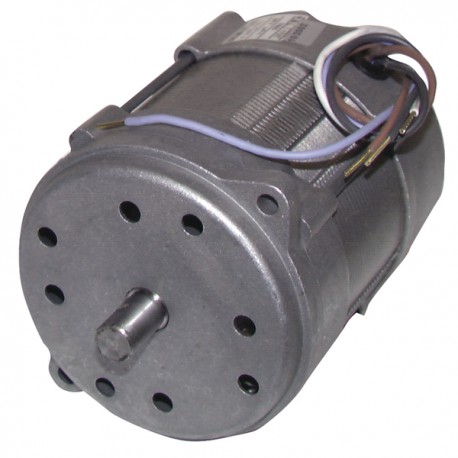 Motor 150w p/15m/20m type 518se - RIELLO : 3005820