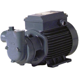Motorpump low pressure cam 60 single-phased 750l/h - DIFF