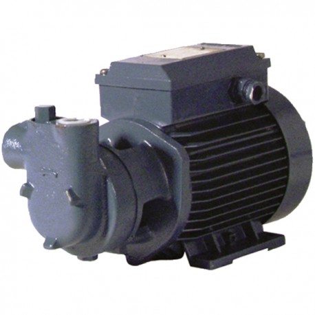 Motorpump low pressure cam 60 single-phased 750l/h