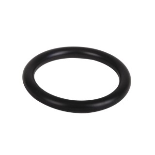 O-ring  - AOSMITH : 0304741(S)