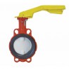 Butterfly valve with DN50 gas centring disk - BURACCO : MA913B065IBCL