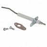 Detection Electrode Unit - COSMOGAS - STG : 62632007