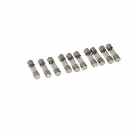 Fuse 2a glass slow blow (X 10) - DE DIETRICH CHAPPEE : S43561