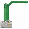 Ball valve FF with extended lever PN 40 NF 1 1/2? - EFFEBI : 0884V408NF