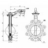 Lug butterfly valve D150 - DIFF