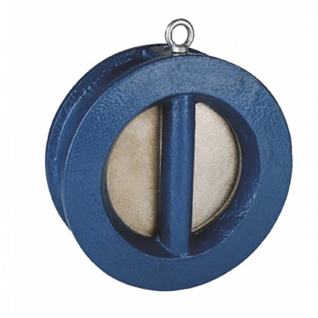 Cast iron double flapper valve 100 - SFERACO : 370100
