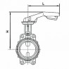 Butterfly valve with DN65 cast iron centring disk - BURACCO : CL623B065ICCL