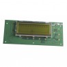 PCB - DE DIETRICH CHAPPEE : 200008102