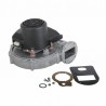 Fan rg148/1200-3633 - DE DIETRICH CHAPPEE : S101726