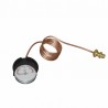 Pressure gauge - DIFF for Chaffoteaux : 61303158
