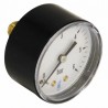 Standard manometer 0 - 6 bars ø 56 m1/4 " - DIFF