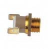 Low-water pressure gauge - ELM LEBLANC : 87168352950
