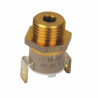 Low-water pressure gauge - ELM LEBLANC : 87168352950
