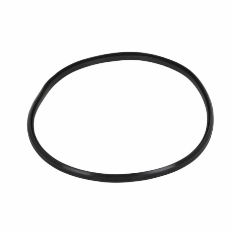 Gasket - lip - BIASI : BI1293108