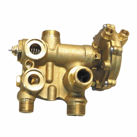 DHW/CH flow group kit (fugas) - BIASI : BI1011503