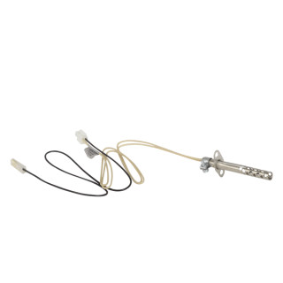 Service kit for ignition - AOSMITH : 0306338(S)