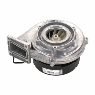 Fan  - ELM LEBLANC : 87186517840