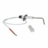 Detection electrode - BIASI : BI1503108