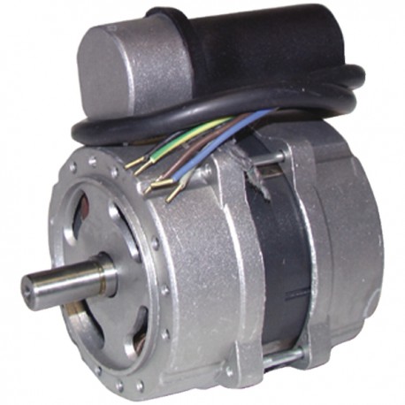 Burner motor - Type 60 .2.125.32M - DIFF for Perge : 990038