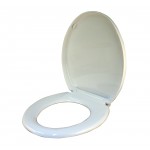 Toilet lid and accessories
